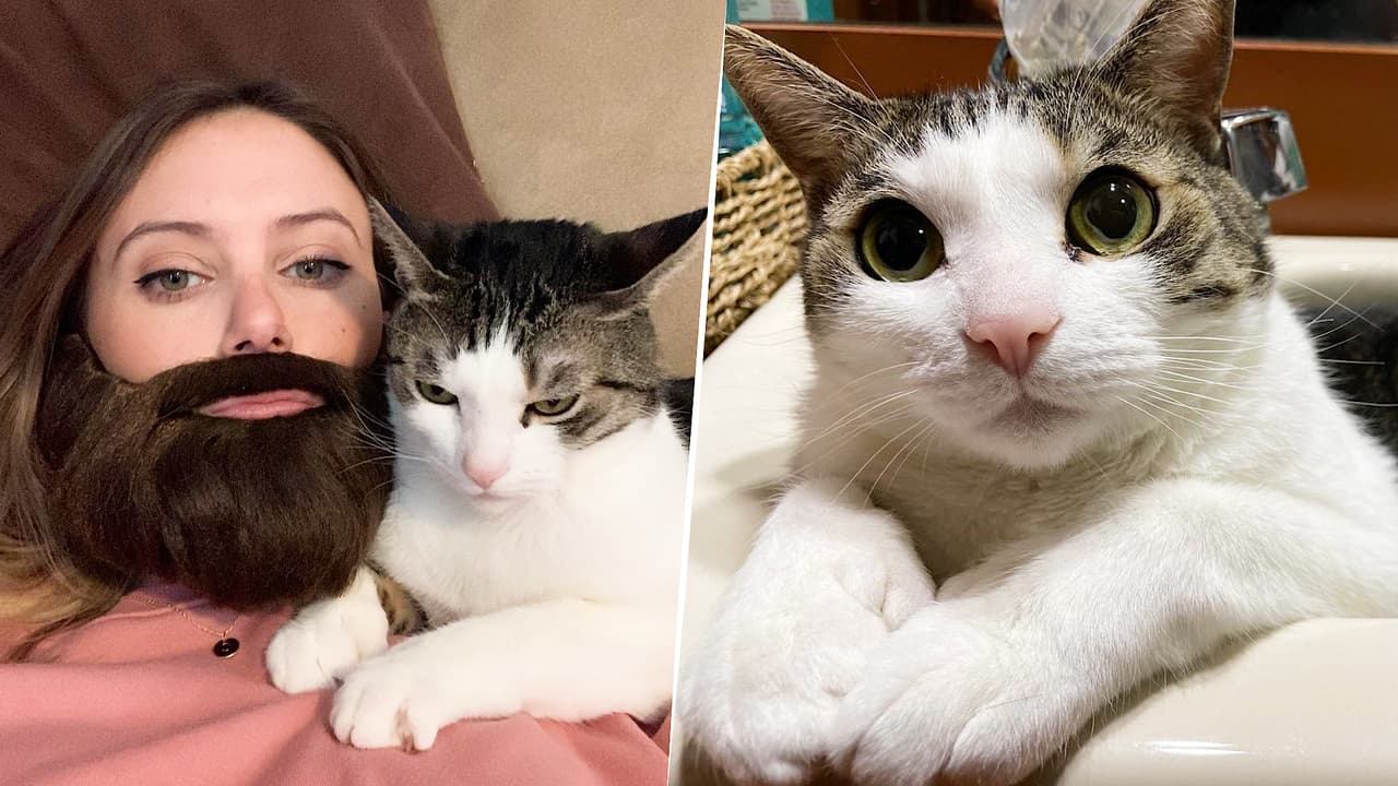 Esta mujer se "dejó" la barba para que su gato la quisiera: su historia es divertidísima