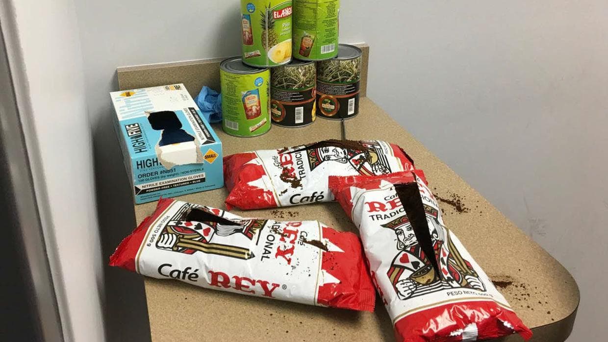 Inspección de alimentos en el aeropuerto