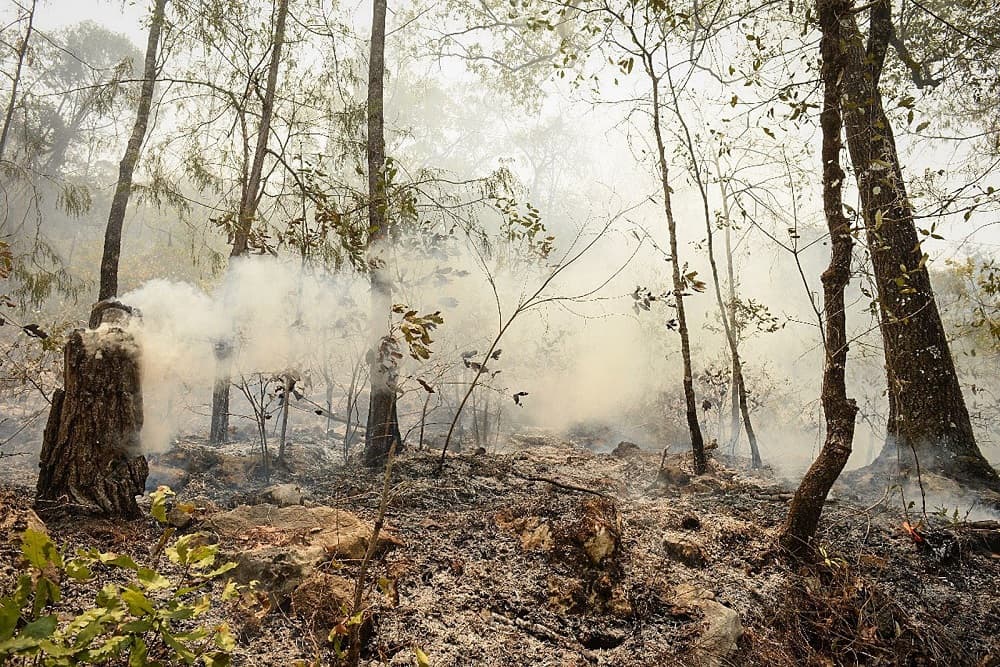Sin sobrevivientes: mueren cinco marinos que iban en el helicóptero que se estrelló en México