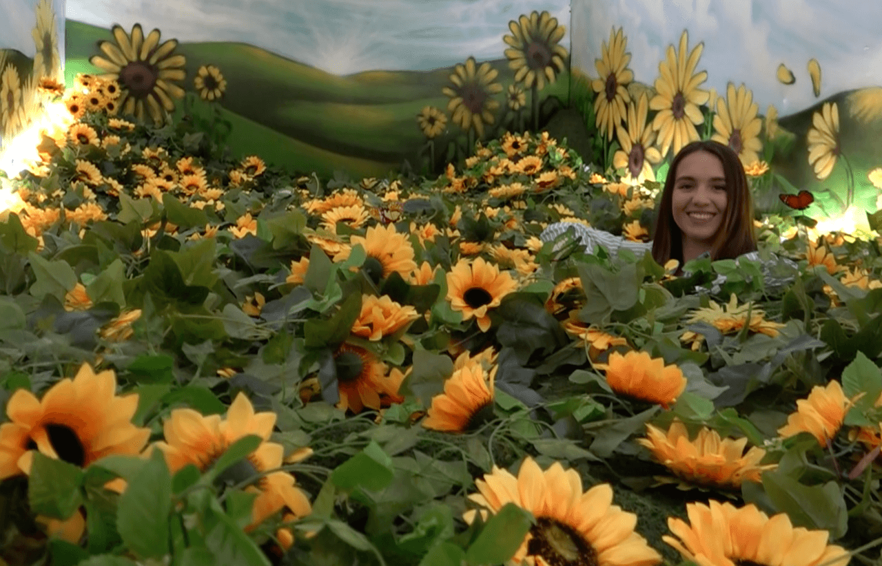 <b>Euphoric Emporium</b>
<br>511 NE 15th Street
<br>Miami, Florida 33132
<br>(305) 336-2638
<br>
<br>
<a href="http://www.euphoricemporium.com/" target="_blank">http://www.euphoricemporium.com/</a>
<br>
<br>Euphoric Emporium está localizado en la área de Downtown Miami. Está compuesto de contenedores de envío que han sido transformados con instalaciones que, según el sitio web, crean “una experiencia interactiva de arte moderno que desafiará tu percepción y capturará tu imaginación”. Cada contenedor tiene un diferente tema. ¡Sumérgete en un mar de girasoles o cuelga de un rascacielos de Nueva York!
<br>
<br>Entradas
<br>Adultos: $28
<br>Niños (5-18): $18
<br>Menores de 5 años entran gratis.
<br>
<br>¡No hay excusa! Aunque esté haciendo frío, ¡todavía te puedes divertir!
<br>