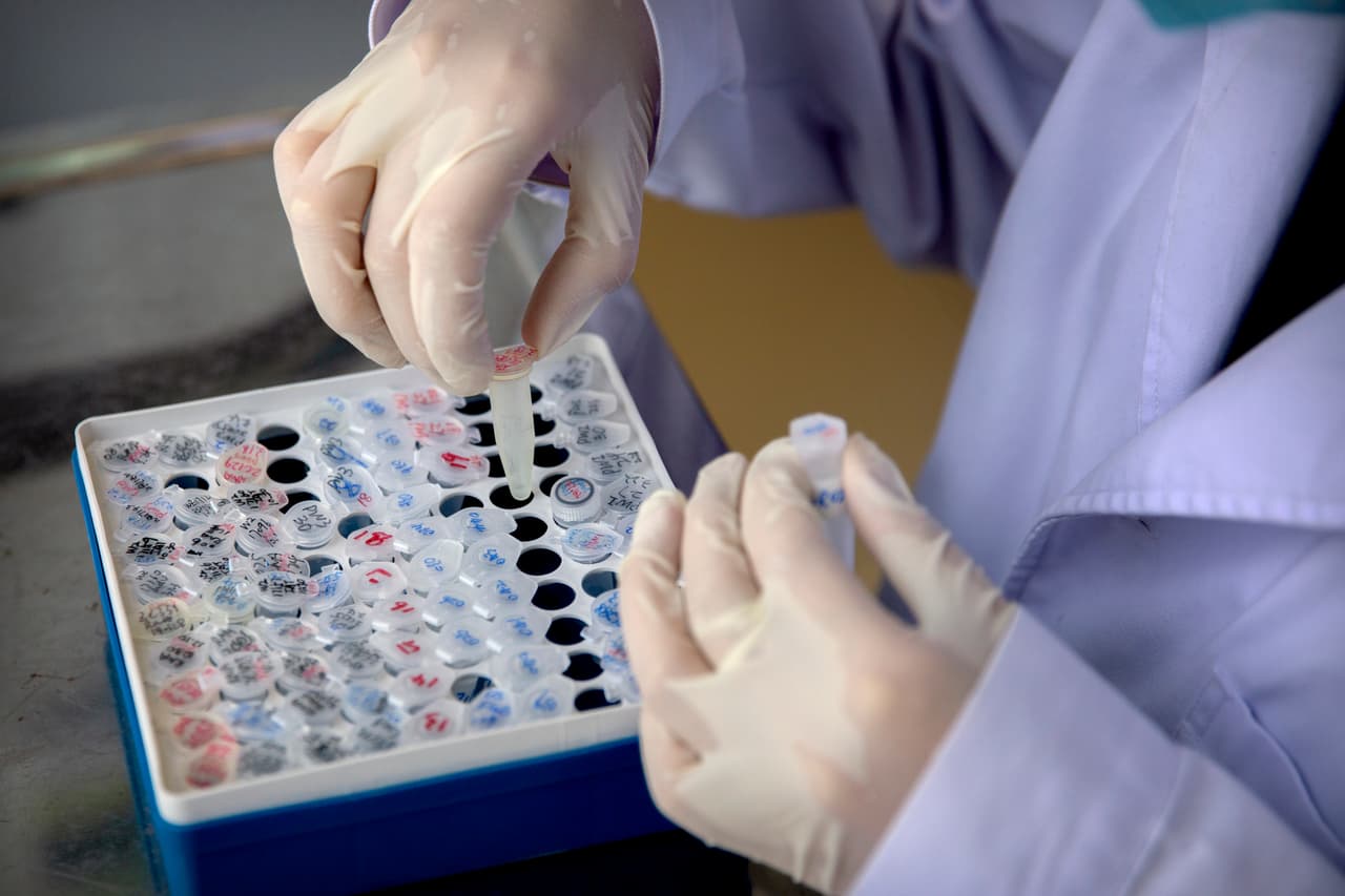 De Filadelfia los primeros pacientes en Estados Unidos en formar parte de un novedoso estudio para tratar el COVID-19