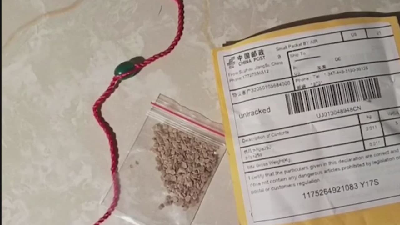 Temen que las semillas misteriosas provoquen daño a la agricultura local
