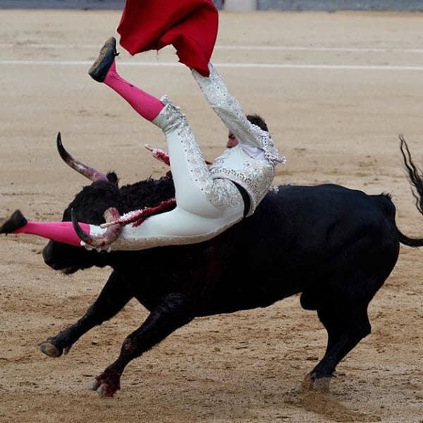 "Estas imágenes las tomé este fin de semana de Feria de Otoño en la Plaza de Ventas en Madrid con mi nueva Sony A7Rlll", publicó en Instagram.