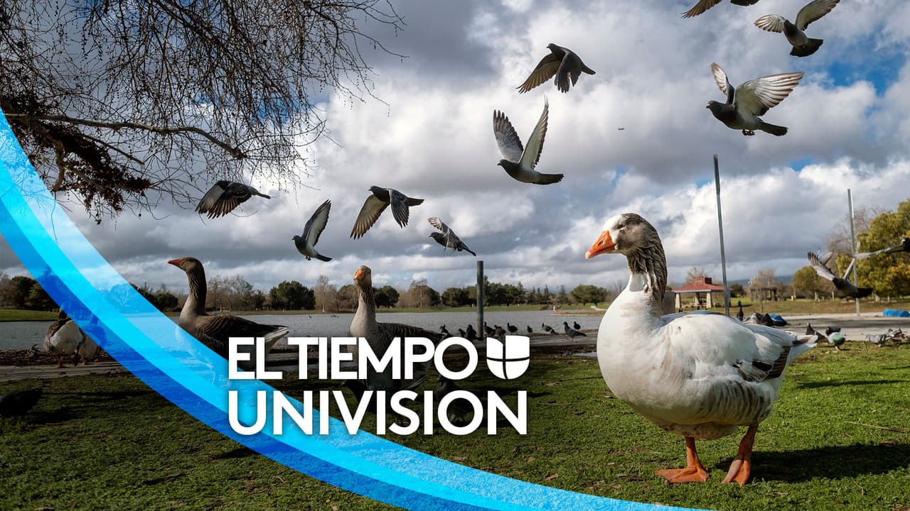 Actualización del tiempo: Arranca la semana laboral con cielos despejados, vientos y temperaturas cómodas 