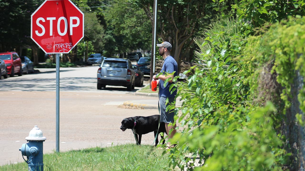 Este joven aprovechó para sacar a su perro a pasear y a su vez presenciar el esperado espectáculo de los aviones militares.