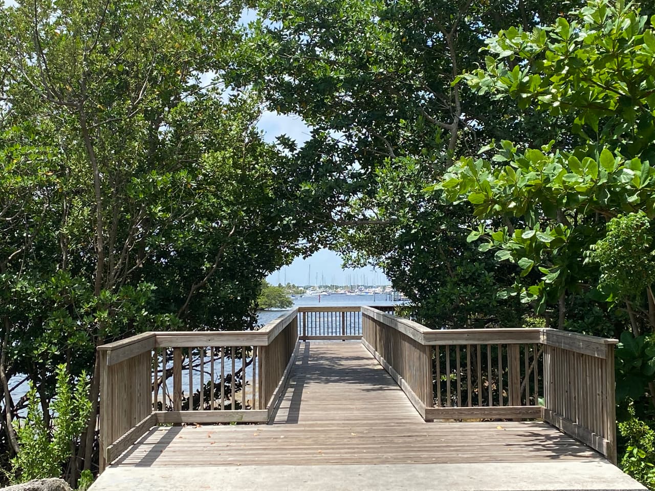 Esta es una vista marina desde un puente peatonal que lleva a los caminantes hasta el otro lado del parque.