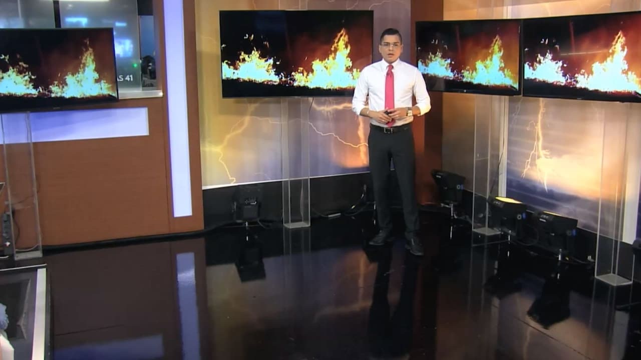 Ante el tiempo seco, las ráfagas del viento pueden desatar incendios forestales. Entérate de cómo se registran y evítalos.