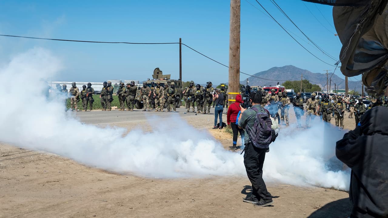 Las autoridades señalaron que cuatro ciudadanos estadounidenses enfrentan cargos criminales por agredir o resistirse a agentes durante los disturbios cerca de las plantaciones.