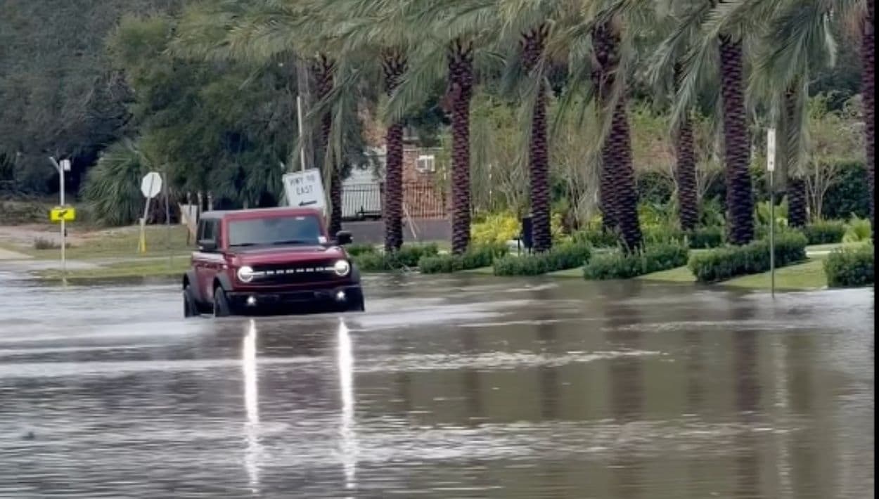 Árboles caídos, negocios dañados e inundaciones: así golpeó Isaias a Florida