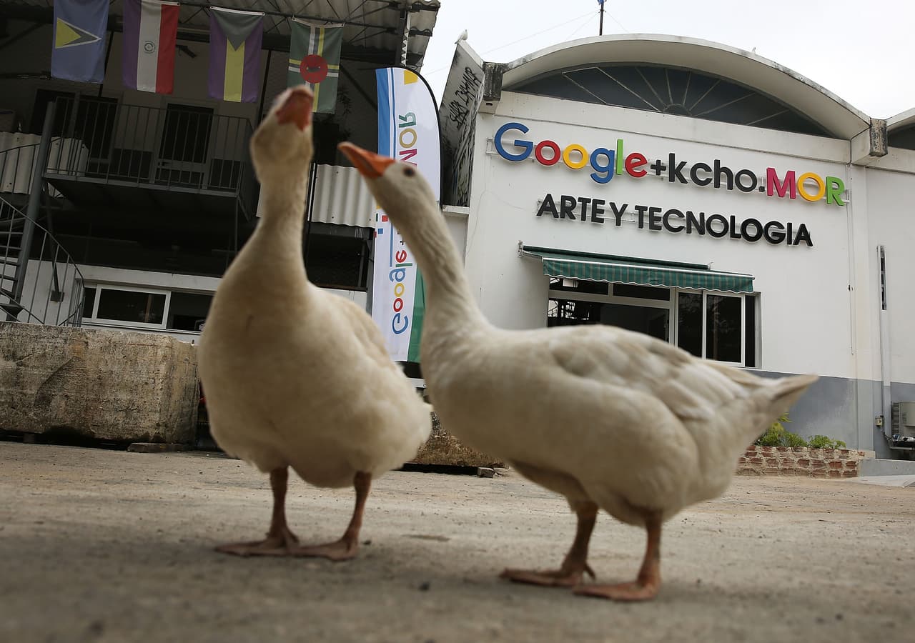 La novedosa idea para que 'startups' digitales levanten vuelo en Cuba