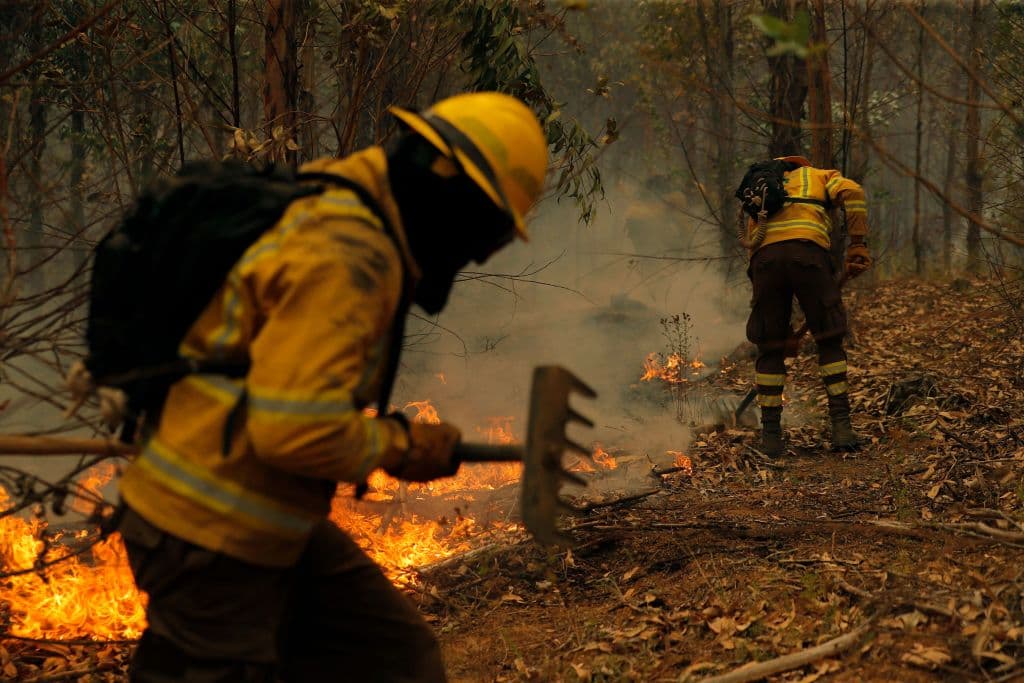 "Chile en materia de incendios cambió de manera sustantiva, y está cambiando todos los días", dijo por su parte la ministra del Interior, Carolina Tohá. "Nos estamos volviendo uno de los territorios más vulnerables a incendios fundamentalmente por la evolución que ha tenido el cambio climático en nuestro territorio. Eso hace que lo que parecía una situación extrema hace tres años atrás, se vaya superando de año en año", destacó.
<b>"Se ha quemado en una semana (en Chile) lo que se quemaba en un año completo"</b>, aseguró.