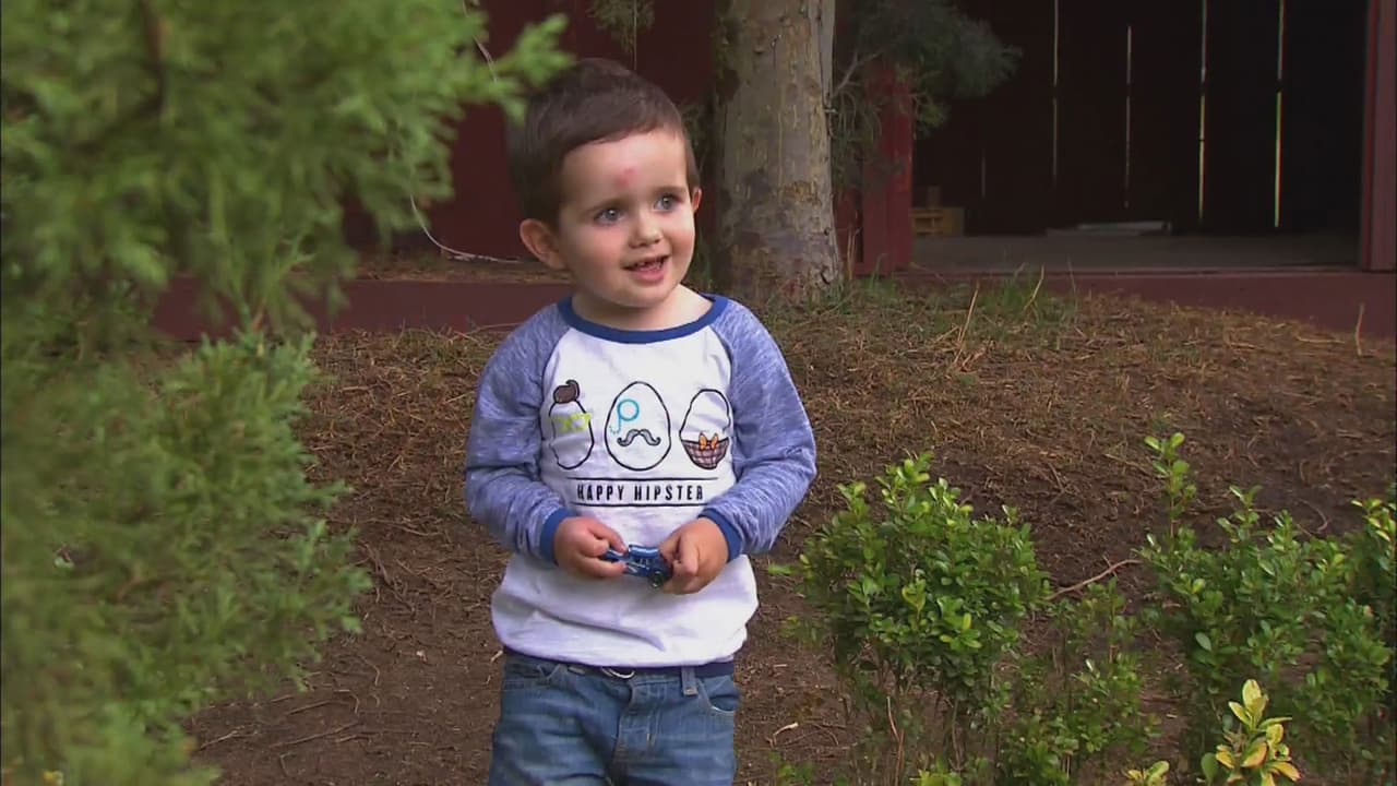 Pedrito es un niño encantador, es un angelito muy tranquilo y risueño.