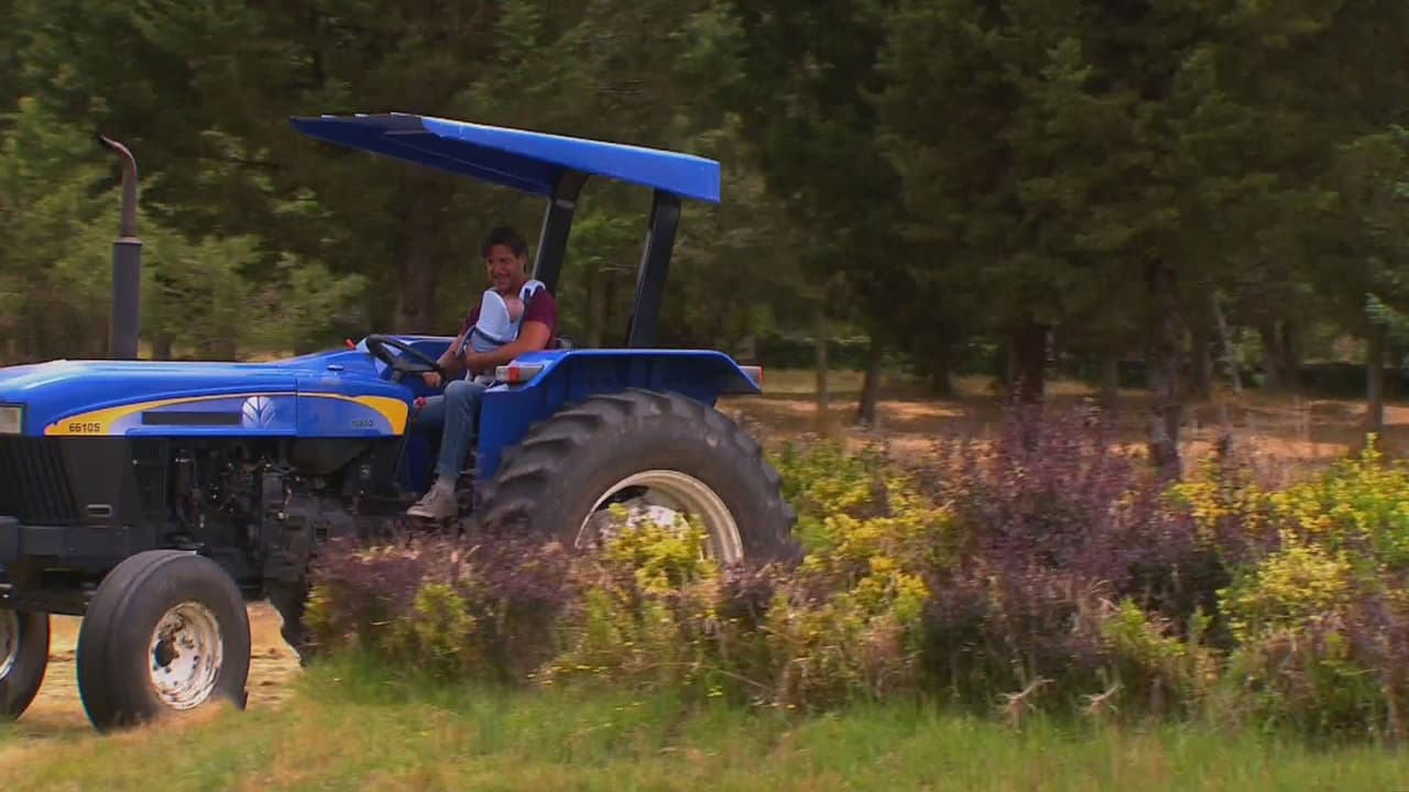 También lo llevaba a su lugar de trabajo y lo paseaba en el tractor para dormirlo.