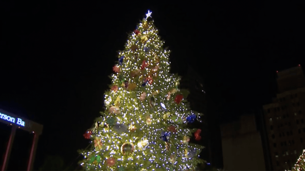 Enorme árbol de Navidad llega a Travis Park para deleite de todo San Antonio