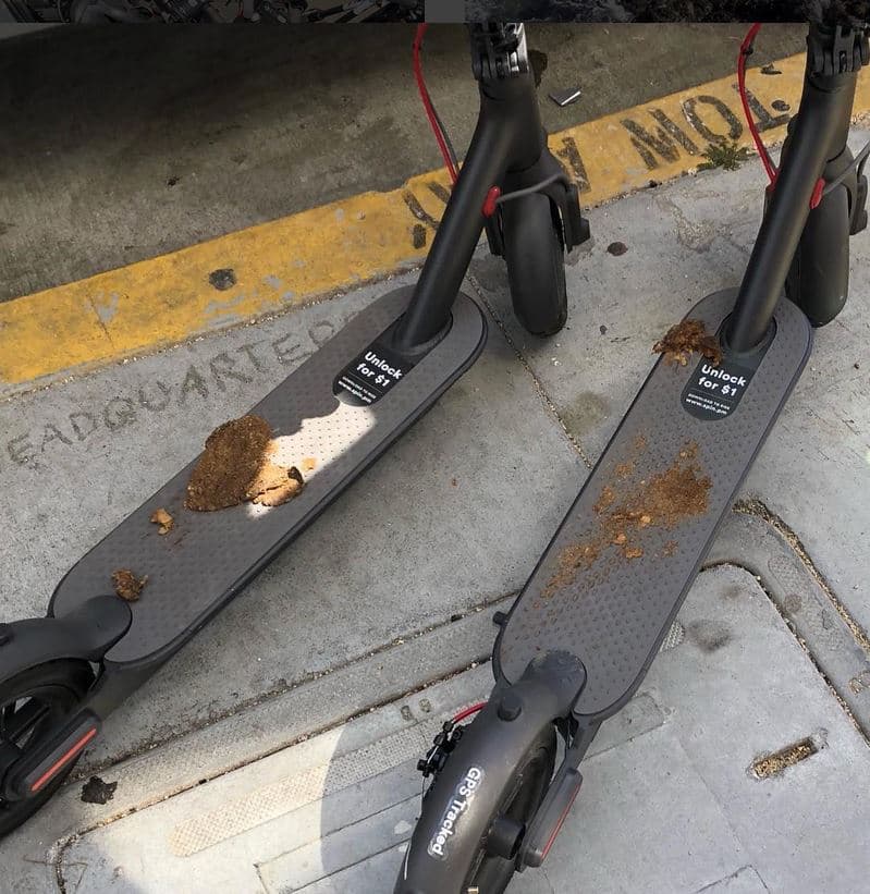 Algunos piensan que estas acciones son una forma en que los locales manifiestan su descontento ante el aumento de la presencia de corporaciones tecnológicas en el área costera en el Sur de California.