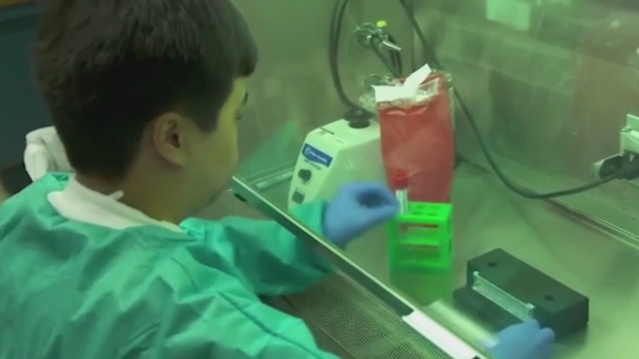 Aumentan a 146 casos confirmados de coronavirus en Georgia