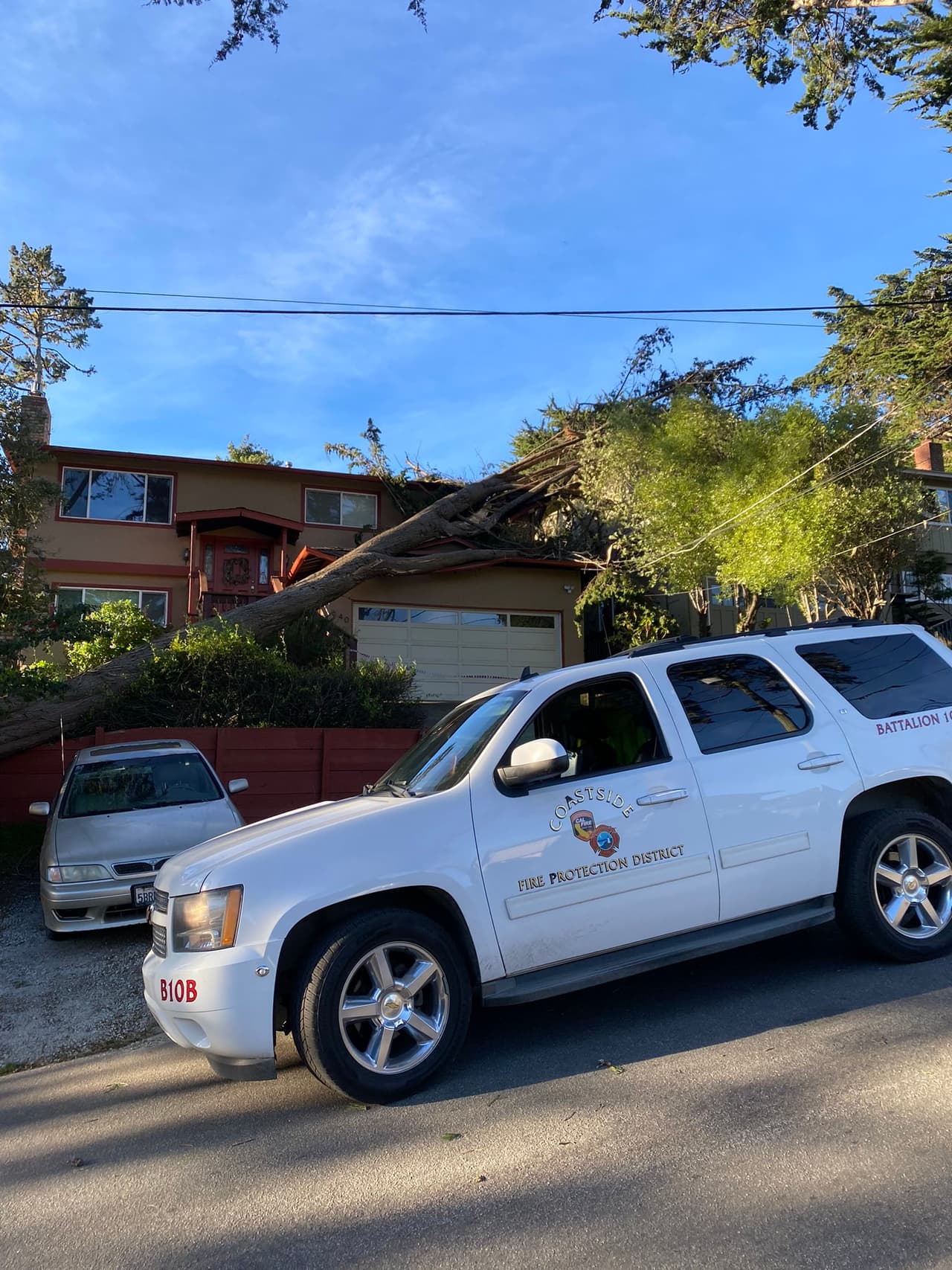Lo que el viento se llevó: árboles caídos y apagones masivos a causa de los ventarrones en el Área de la Bahía