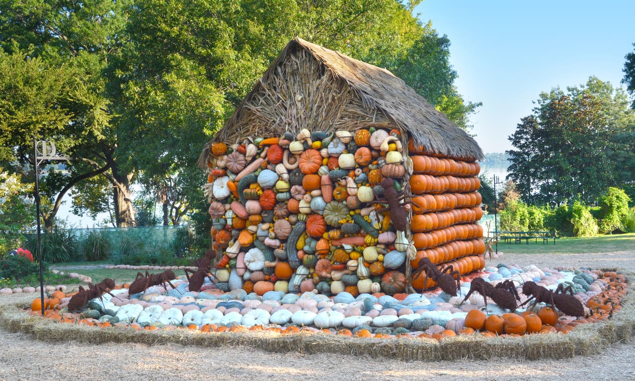 Los boletos tienen un precio de entre $12 a $17, dependiendo en la fecha de visita. Debido a la pandemia por el coronavirus, se requiere el uso de cubrebocas.