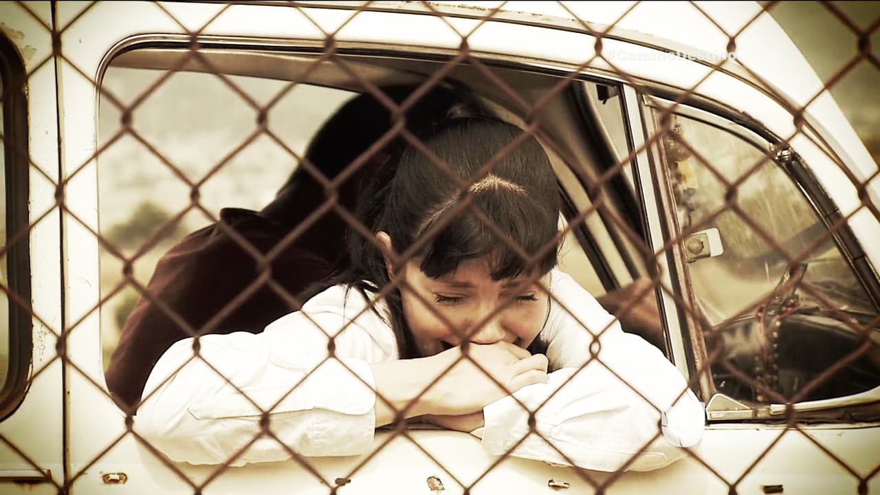 Estamos seguros que nunca te buscará.