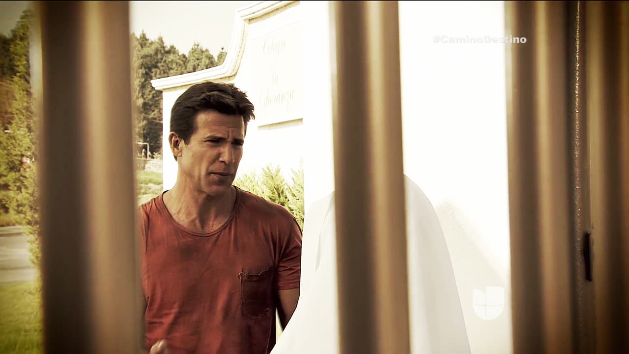 Pedro es único, está decidido a casarse para que tu bebé tenga un padre.