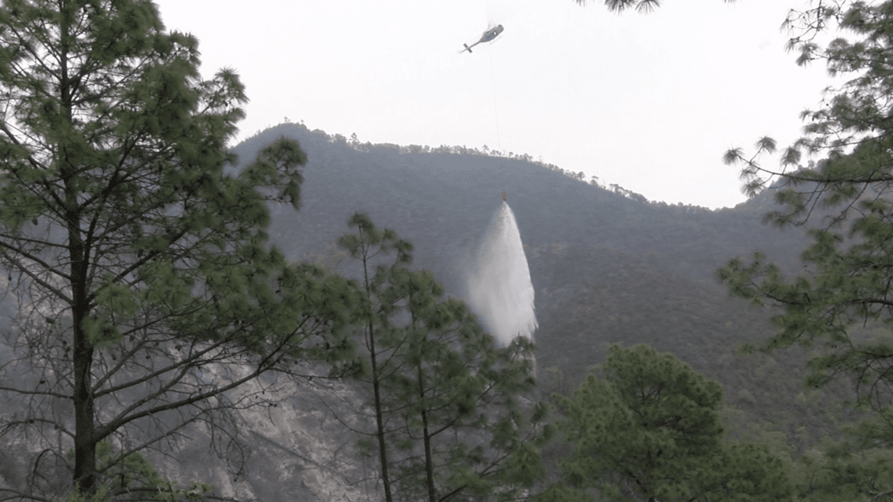 Según sus familiares,
<b>Erika estaba consciente tras el accidente e incluso intentó rescatar a sus hijos del vehículo en llamas</b>. Durante su hospitalización en la ciudad de Monterrey, capital del estado de Nuevo León, pasó un tiempo sin saber que sus hijos habían fallecido. Su hermana, Paula Camacho, dijo que ella se metió al vehículo por sus hijos.