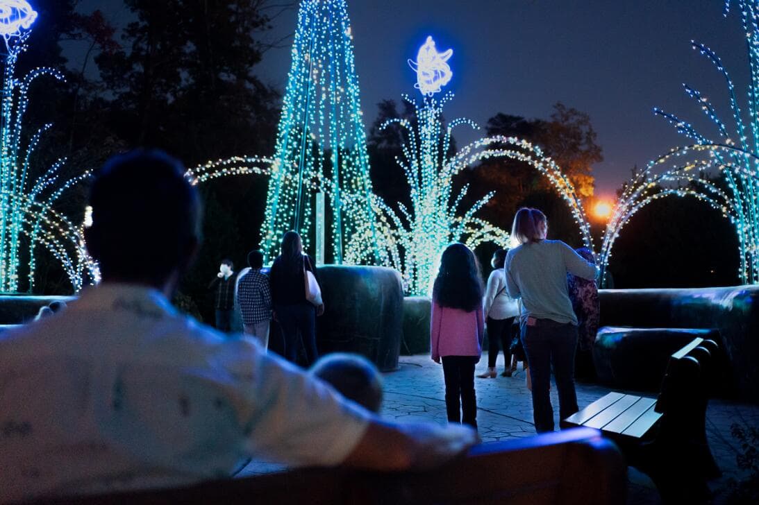 <b>IDEA 3: Disfruta de un espectáculo de luces navideñas</b>. Carolina del Norte cuenta 
<b><a href="https://www.univision.com/local/north-carolina-wuvc/mejores-espectaculos-luces-navidenas-carolina-del-norte-2023-fotos">con muchos espectáculos de luces navideñas</a></b> que estarán abiertos y podrás visitar el fin de semana.