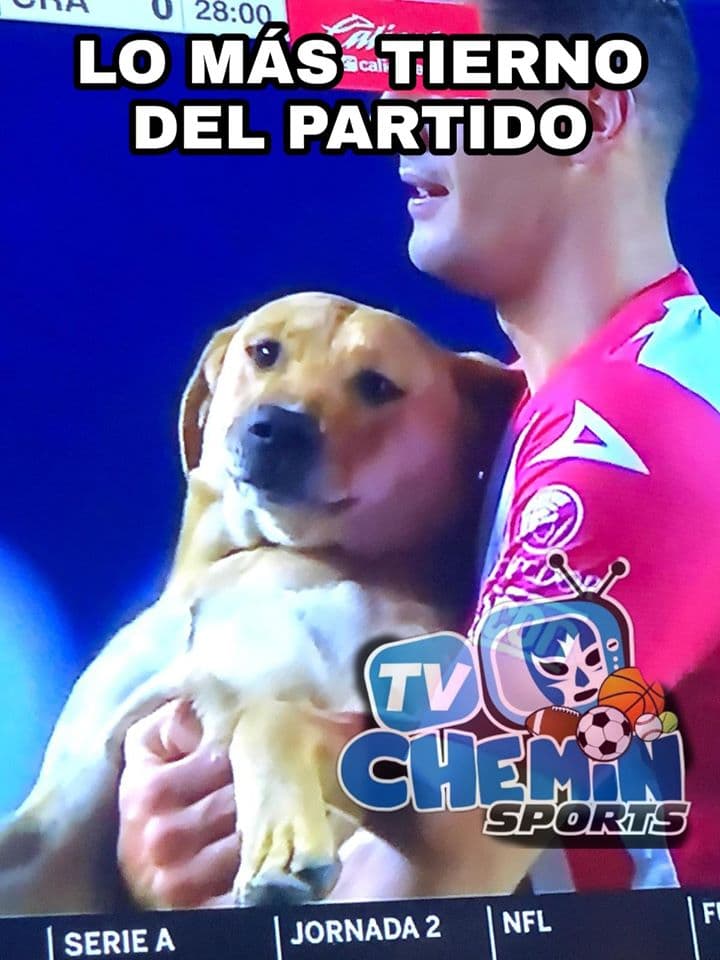 Cruz Azul y Tigres están entre lo más divertido en la Jornada 2 del futbol mexicano.|