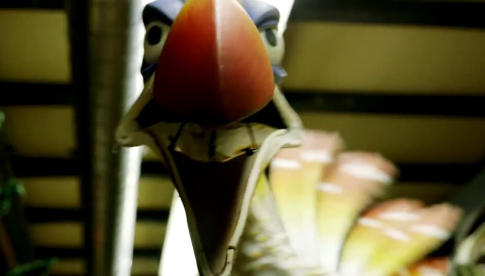 "La historia es la misma en todo el mundo", agrega.