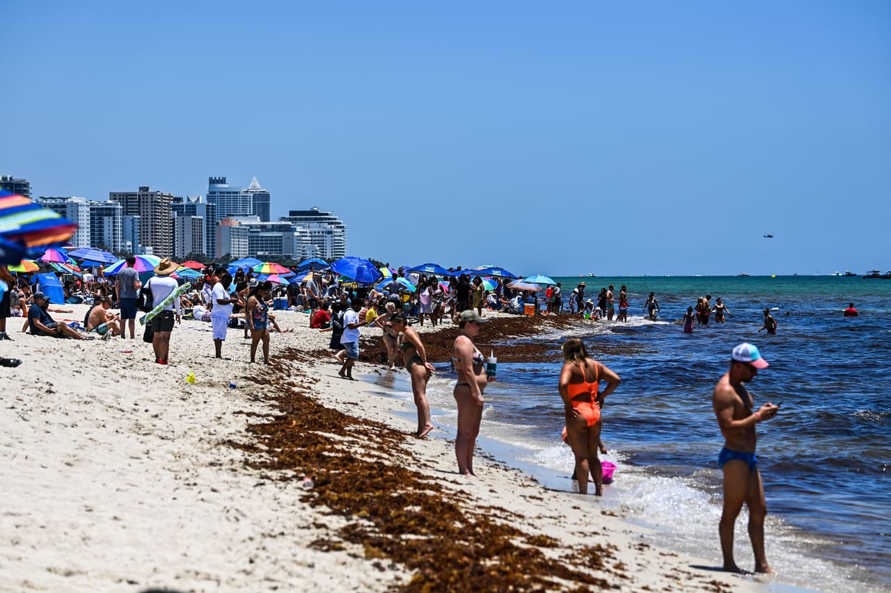 Advierten a los visitantes que tengan mucha precaución y no se acerquen ni toquen a estas medusas, que tienen unos tentáculos largos parecidos a hilos, los cuales están llenos de púas.
<br>