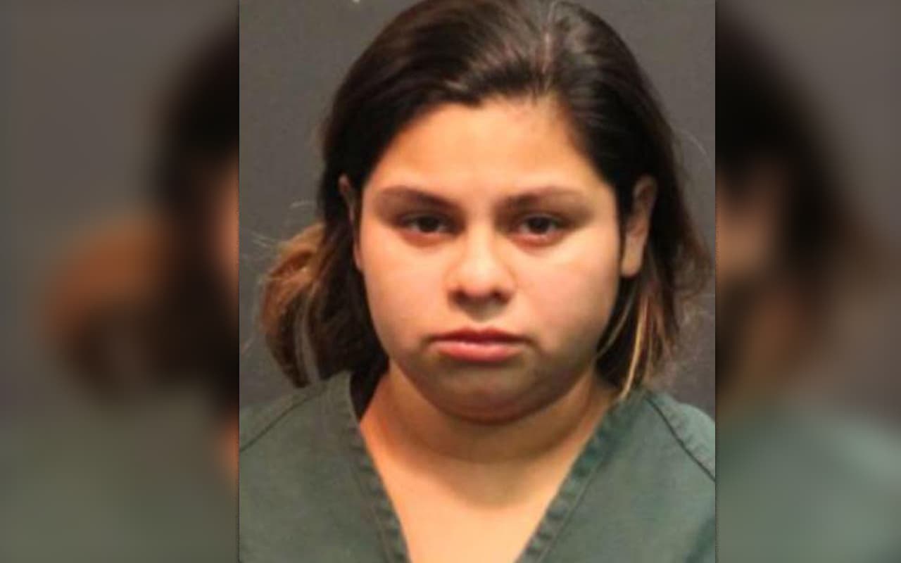 Con fractura de cráneo y costillas quebradas, así encontraron a los gemelos de esta madre arrestada en California