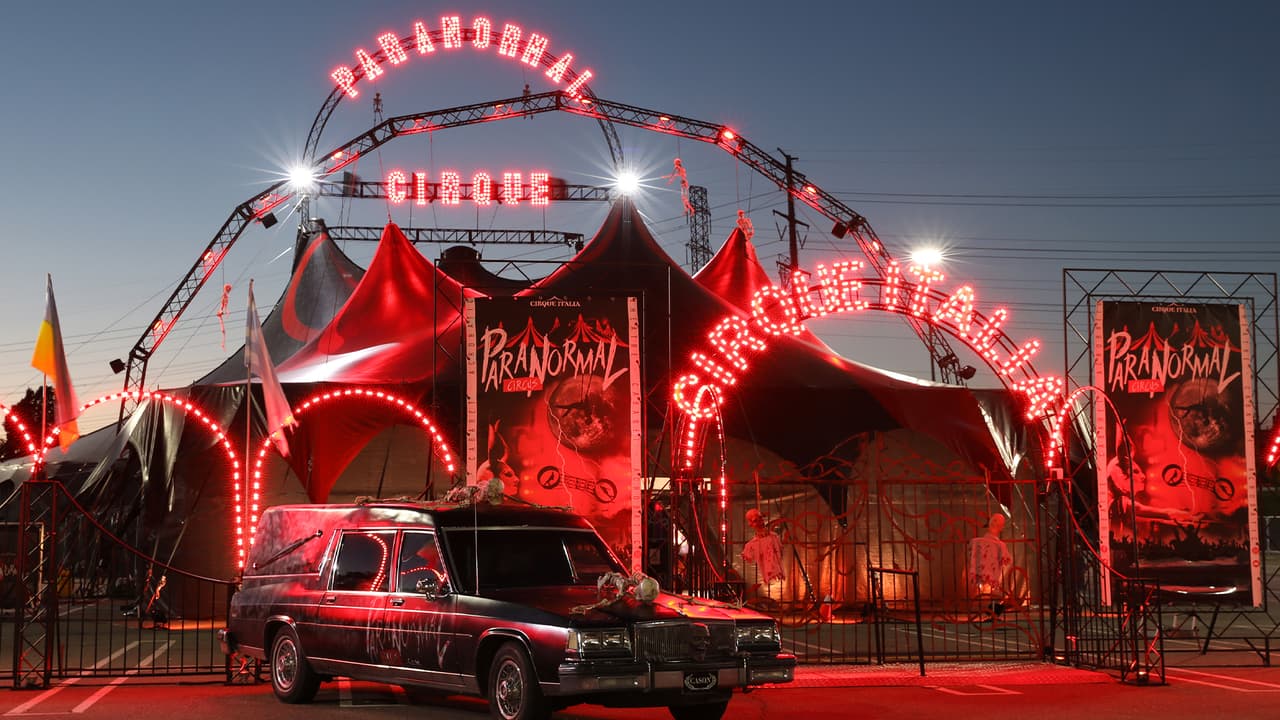 Paranormal Cirque es considerado por las críticas como un performance lleno de adrenalina.