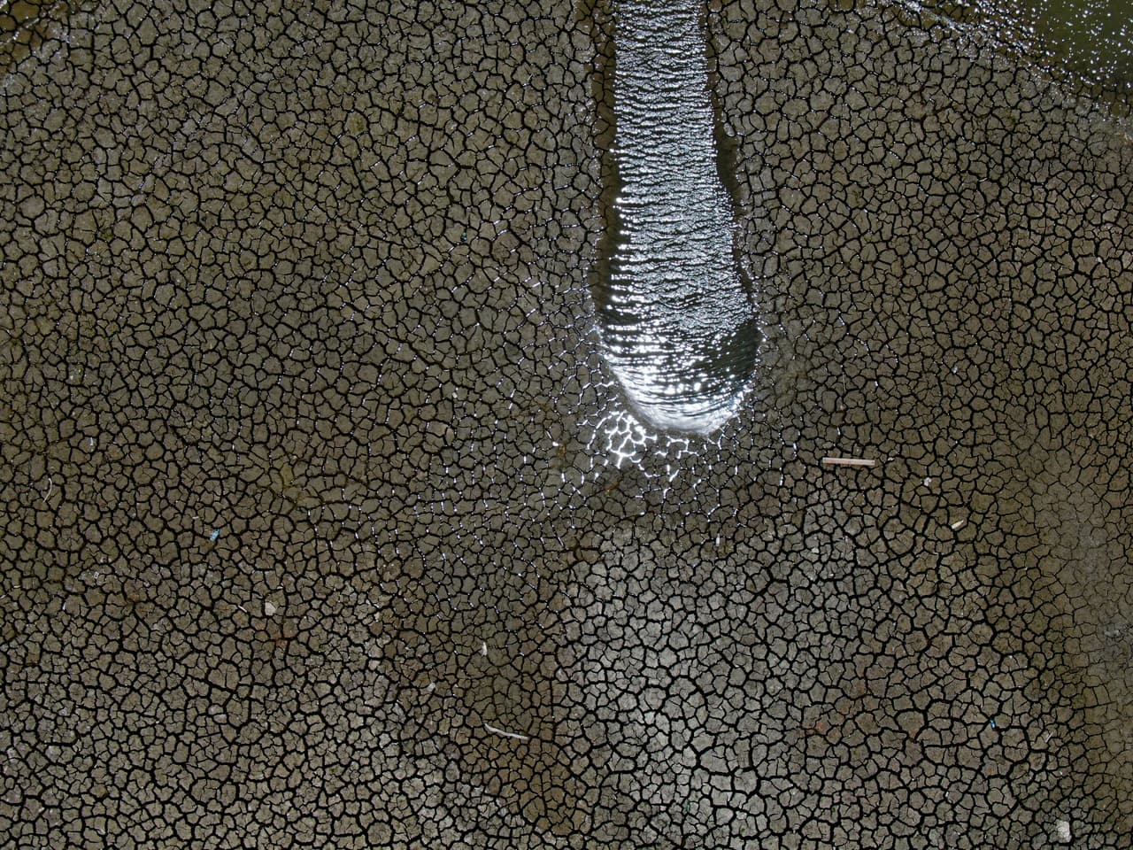 La Comisión Nacional del Agua 
<a href="https://www.univision.com/noticias/america-latina/mexico-declara-la-emergencia-por-sequia-extrema">alertó esta semana</a> de que 11 de los 32 estados de México se encuentran en estado de emergencia debido a la sequía que azota al país, y añadió que al menos la mitad del territorio se encuentra en riesgo de la misma situación.