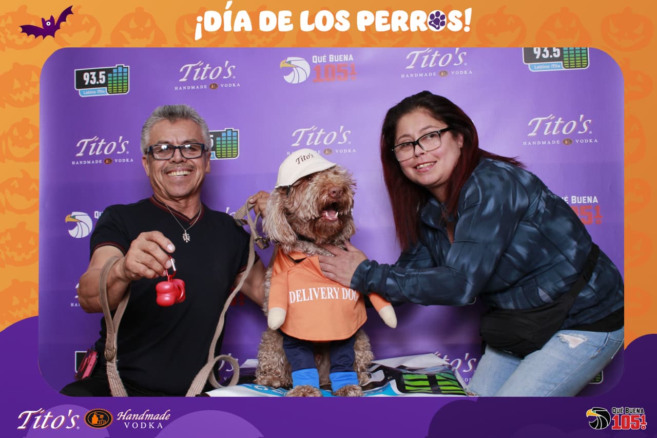 Cual fue tu favorito?