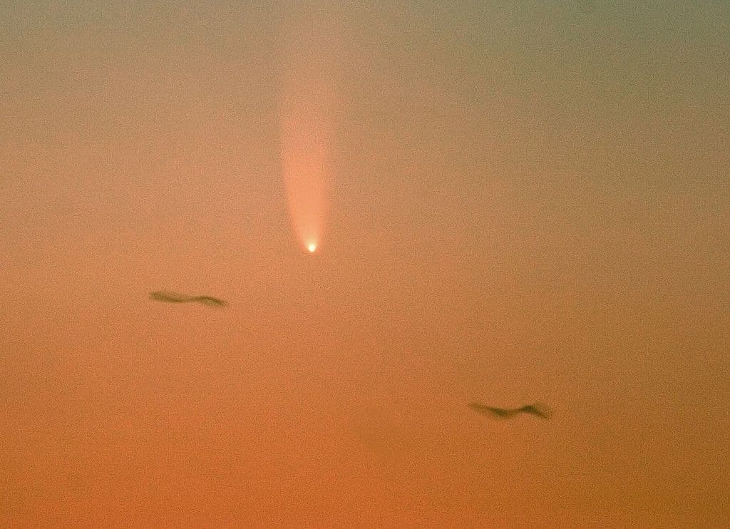 El cometa C/2006 P1 McNaught fotografiado al atardecer sobre el puerto de Sydney el 16 de enero de 2007 en Sydney, Australia.