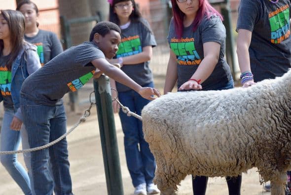 Famosos, voluntarios y hasta las Tortugas Ninja se divirtieron a lo máximo durante la fiesta rural "Get Dirty" en el Zoológico de Los Ángeles. El evento les permitió a los participantes un día repleto de actividades junto a los animalitos. Asimismo, la diversión tuvo un enfoque en la conservación del medio ambiente.