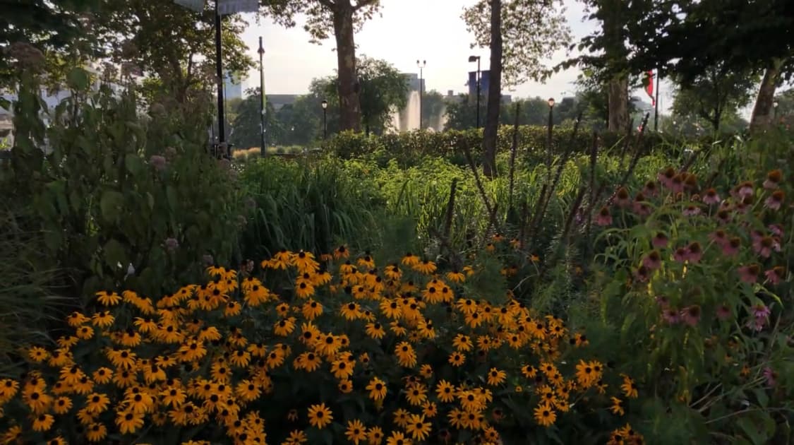 Los animales polinizadores, como abejas, escarabajos, polillas, mariposas, pájaros y murciélagos, son cruciales para el suministro de alimentos para los humanos porque polinizan los cultivos que consumimos. Sister Cities Park se dedicó por primera vez en 1976 para reconocer el compromiso de Filadelfia con el programa de asociación internacional Sister Cities. El parque fue rediseñado y rededicado en 2012.