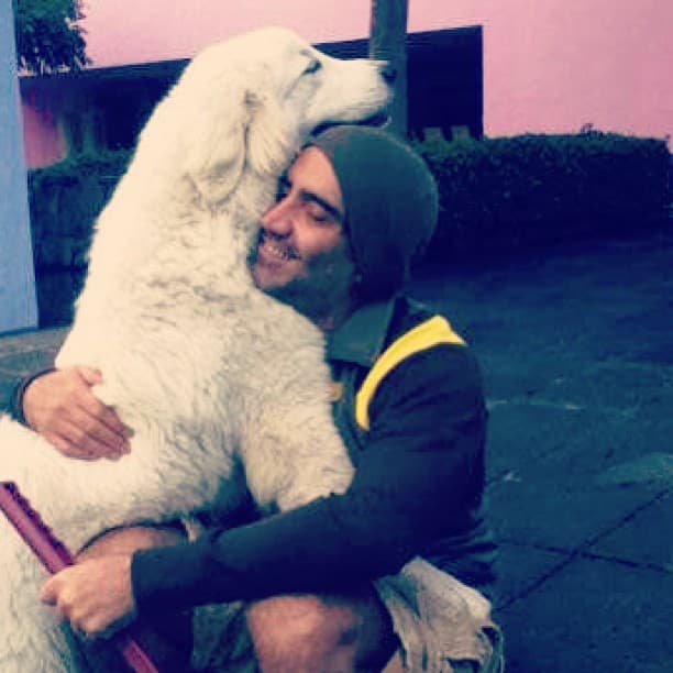 Uno de ellos es el fabuloso Luka, siempre agradecido con su guapo y talentoso dueño.