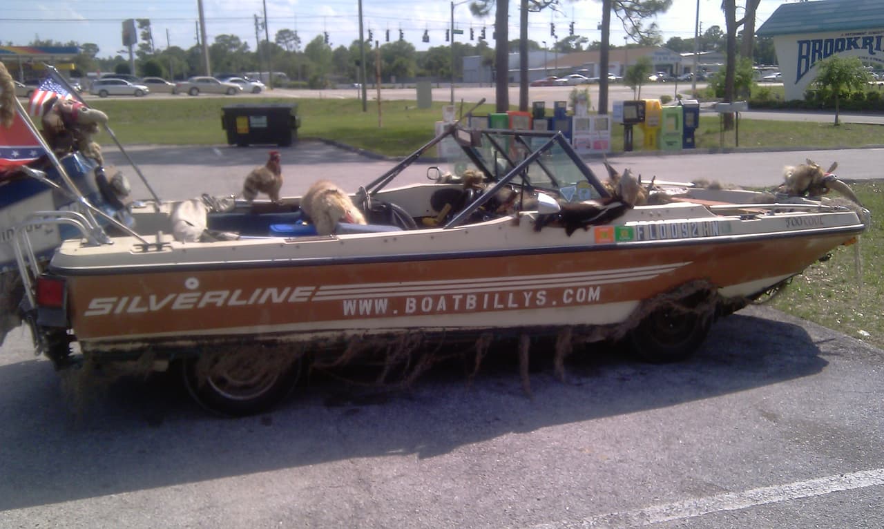 Cosas insólitas que solo se ven en Florida.