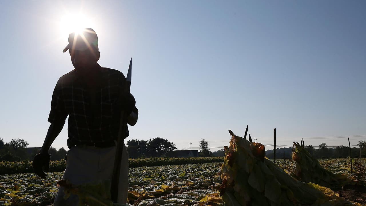 <b>Mira también: </b>Autoridades indican que las temperaturas por encima de los 100 grados Fahrenheit continuarán presentes esta semana, pero ahora más hacia el este del país. Por lo anterior, Juan Benítez, de Workers Defense Project, recordó cuáles son las protecciones que empleadores deberían garantizar a trabajadores, según recomienda la Administración de Seguridad y Salud Ocupacional (OSHA). “Deben proporcionar agua, descanso, sombra, un plan de emergencia y vigilancia”, recalcó Benítez. 
<b><a href="https://vix.com/es-es/canales/channel-callsign-frequancy-news-24-7?utm_medium=internal_referral&utm_source=univision&utm_campaign=evergreen&utm_content=ed_news&utm_term=video" target="_blank">Puedes ver en ViX más noticias gratis.</a></b>