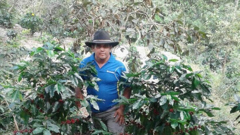 Rodriguez is now growing coffee in the mountains of Honduras.