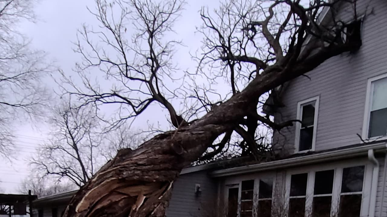 Tormenta en Chicago provoca inundaciones, árboles caídos y daños al sistema eléctrico