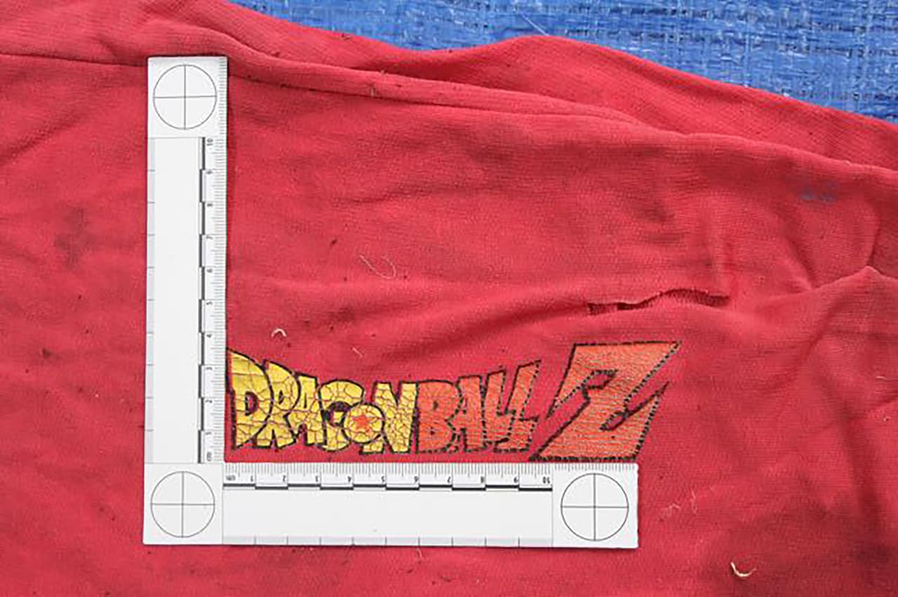 Vea aquí el archivo fotográfico completo 
<a href="https://www.gob.mx/segob/documentos/catalogo-de-prendas-de-las-fosas-clandestinas-halladas-en-veracruz-septiembre-2018?idiom=es">publicado por la Secretaría de la Gobernación de México.</a>