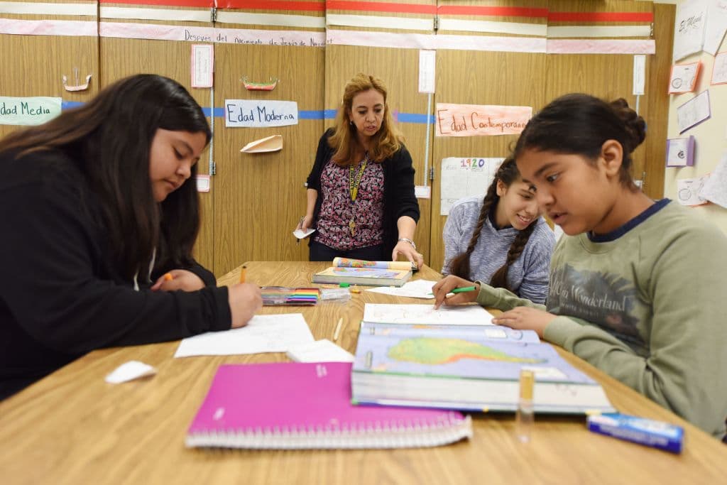 Estos son los mitos que mantienen a la educación segregada en EEUU