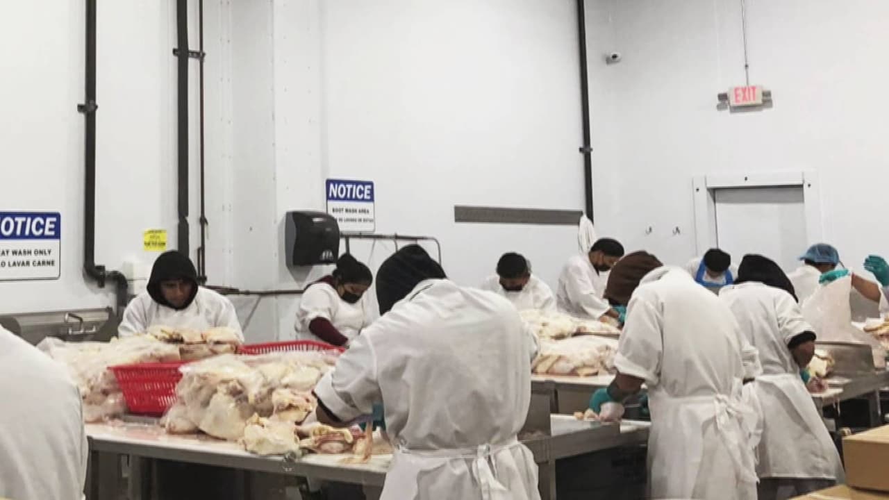 Usaban cuchillos afilados y les negaban horas extras: descubren a niños trabajando ilegalmente en procesadora de pollos