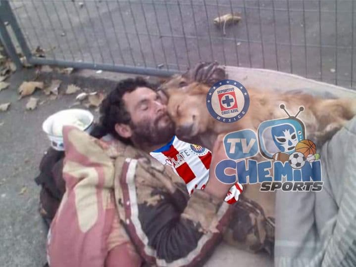 Las Chivas son el combustible para los mejores memes de la jornada 15 en el futbol mexicano.