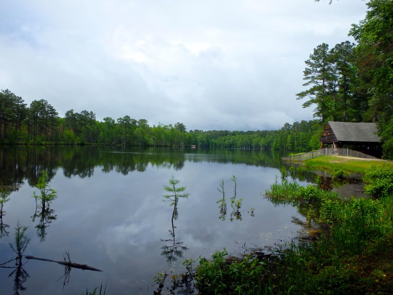 <b>Carvers Creek State Park</b>
<br>
<b>Sitio web</b>: 
<a href="https://www.ncparks.gov/state-parks/carvers-creek-state-park">https://www.ncparks.gov/state-parks/carvers-creek-state-park</a> 
<br>
<b><a href="https://maps.app.goo.gl/yFBHye6kRyz5EFDH8">Cómo llegar</a> </b>
<br>
<br>Ubicado en el condado Cumberland, a 13 millas al noroeste de Fayetteville, el Parque Estatal Carvers Creek ofrece senderos de usos múltiples a través de hermosos ecosistemas de pinos de hoja larga. El parque ofrece muchas oportunidades para la recreación y la experiencia de la historia natural y cultural.