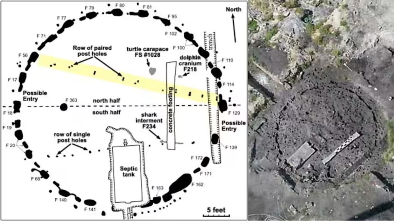 Se trataba de cientos de agujeros que contenían dientes, huesos y herramientas, de los cuales dos docenas formaban un círculo perfecto de 12 metros de diámetro.