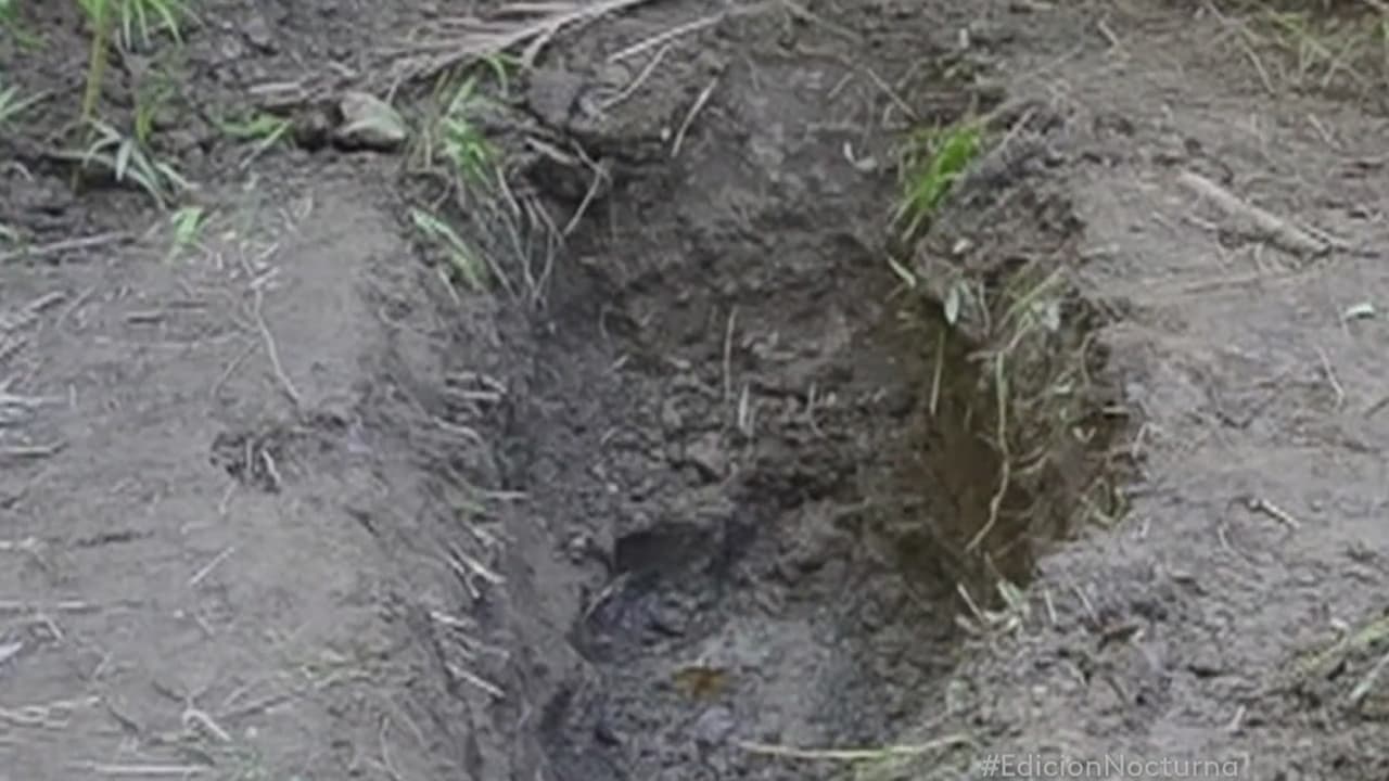 México ha encontrado 662 cuerpos en 201 fosas clandestinas