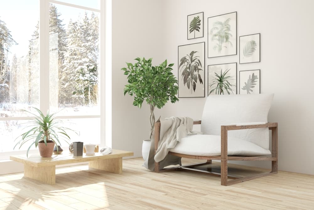 Si quieres que tu casa atraiga el amor el Feng Shui enseña que no debe estar “cargada” ni atiborrada de muebles o excesos de adornos.