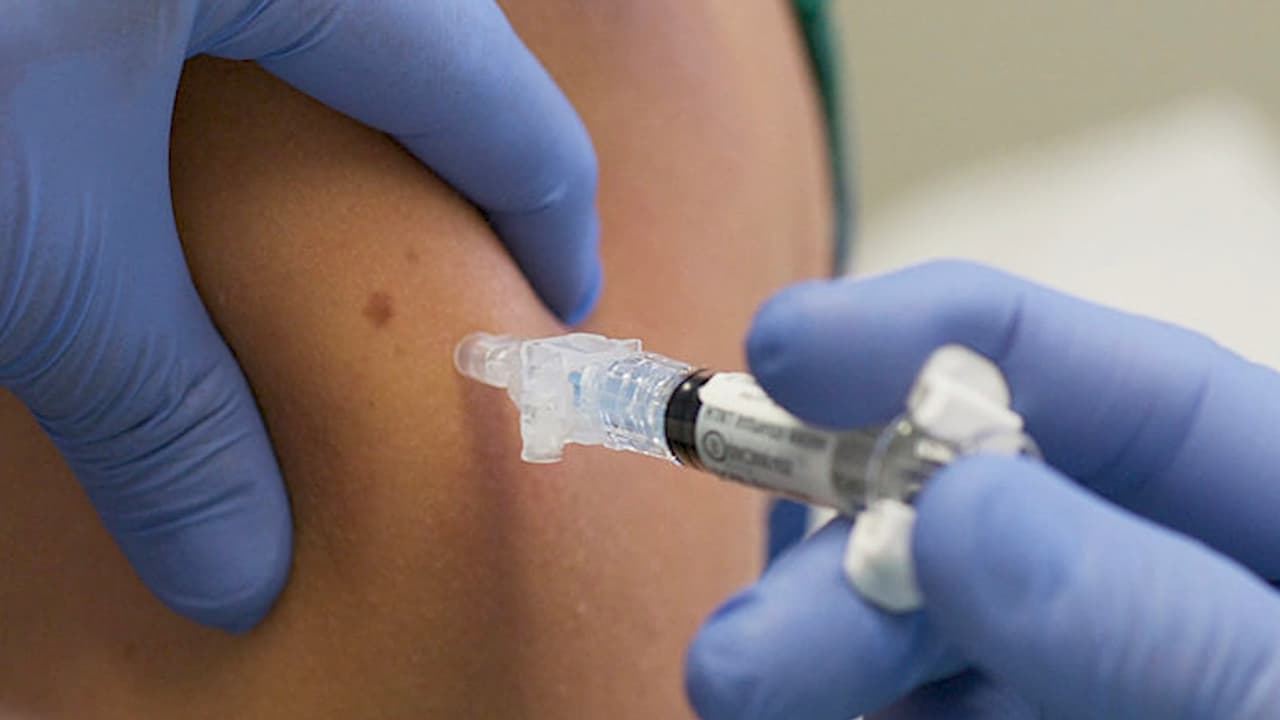 Universidad de Puerto Rico se prepara para la vacunación de los empleados docentes y no docentes